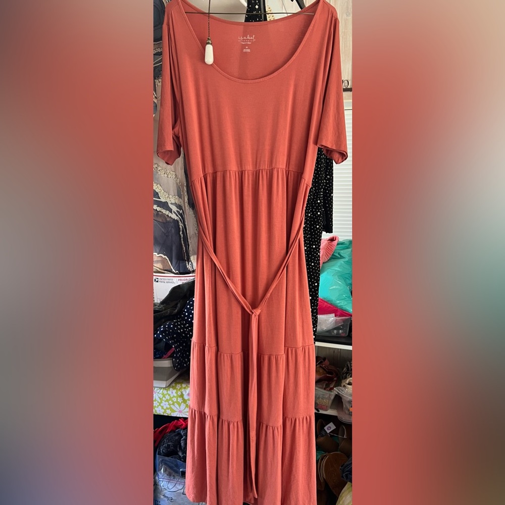 Isabel maternity maxi dress